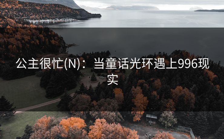 公主很忙(N)：当童话光环遇上996现实