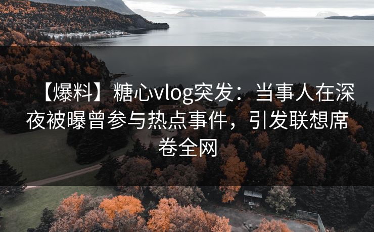 【爆料】糖心vlog突发：当事人在深夜被曝曾参与热点事件，引发联想席卷全网