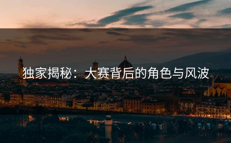 独家揭秘：大赛背后的角色与风波
